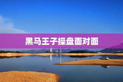 黑马王子操盘面对面
