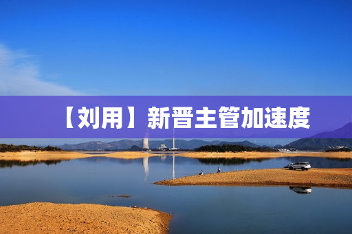 【刘用】新晋主管加速度