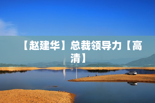 【赵建华】总裁领导力【高清】
