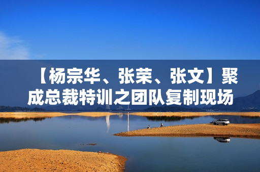 【杨宗华、张荣、张文】聚成总裁特训之团队复制现场视频
