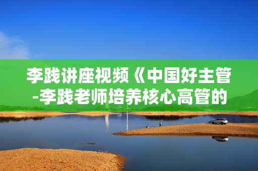 李践讲座视频《中国好主管-李践老师培养核心高管的内部教材》