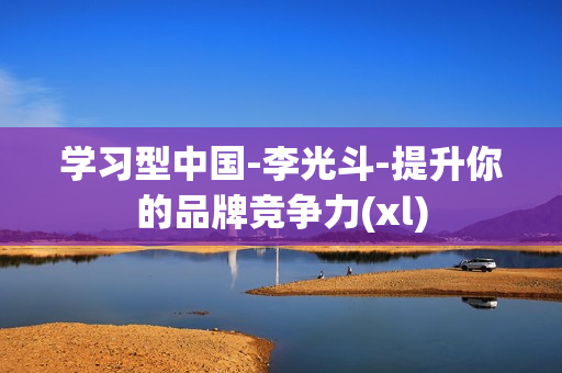 学习型中国-李光斗-提升你的品牌竞争力(xl)