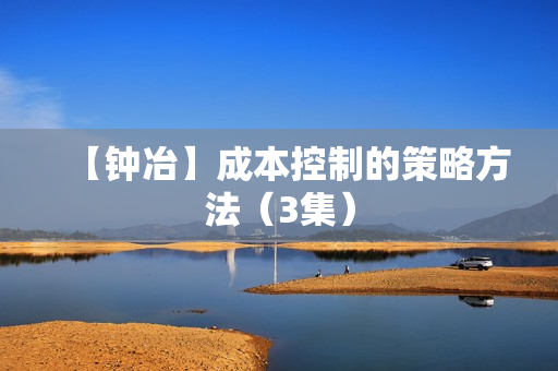 【钟冶】成本控制的策略方法（3集）