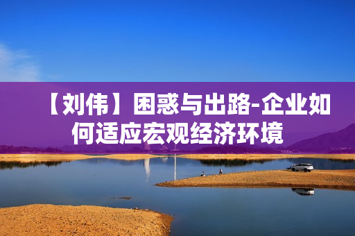 【刘伟】困惑与出路-企业如何适应宏观经济环境