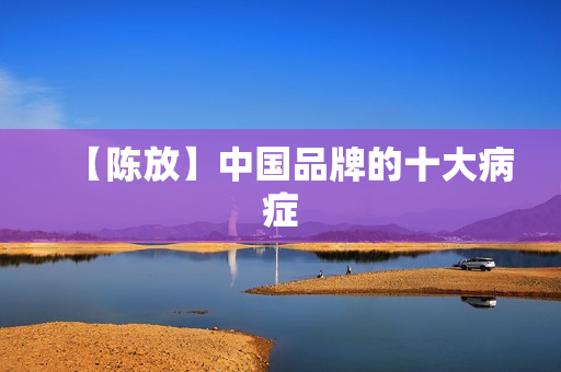【陈放】中国品牌的十大病症