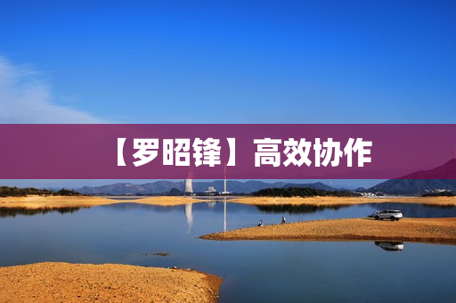 【罗昭锋】高效协作