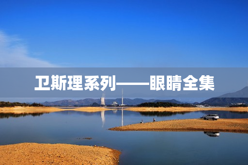 卫斯理系列——眼睛全集