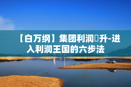 【白万纲】集团利润飊升-进入利润王国的六步法
