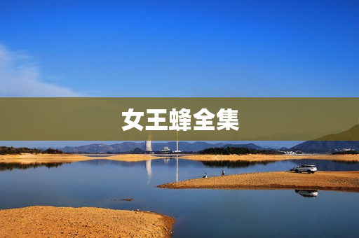 女王蜂全集