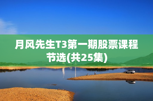 月风先生T3第一期股票课程节选(共25集)
