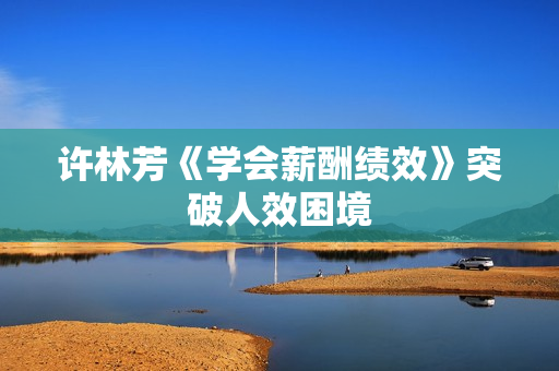 许林芳《学会薪酬绩效》突破人效困境