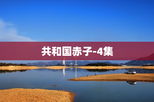 共和国赤子-4集