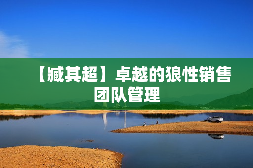 【臧其超】卓越的狼性销售团队管理