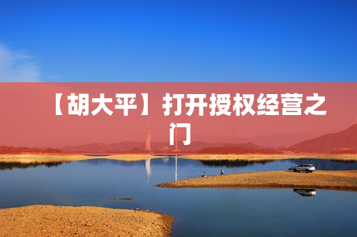【胡大平】打开授权经营之门