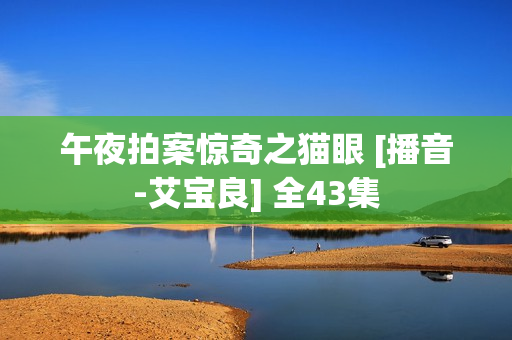 午夜拍案惊奇之猫眼 [播音-艾宝良] 全43集