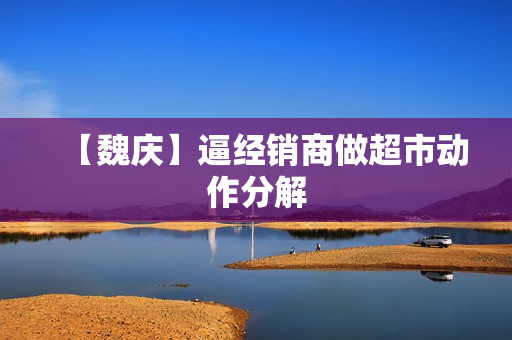【魏庆】逼经销商做超市动作分解
