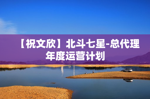 【祝文欣】北斗七星-总代理年度运营计划