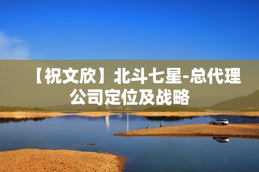 【祝文欣】北斗七星-总代理公司定位及战略