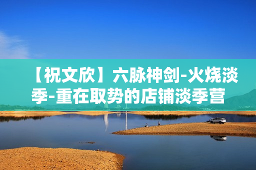 【祝文欣】六脉神剑-火烧淡季-重在取势的店铺淡季营销