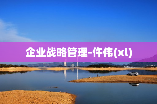 企业战略管理-仵伟(xl)