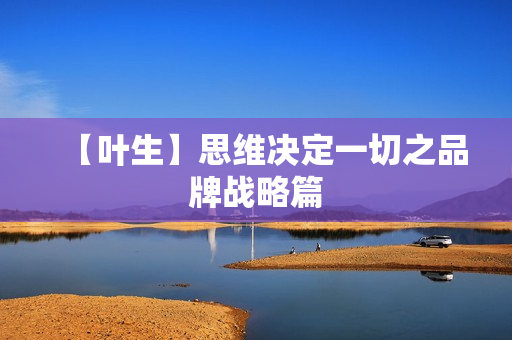 【叶生】思维决定一切之品牌战略篇  第1张