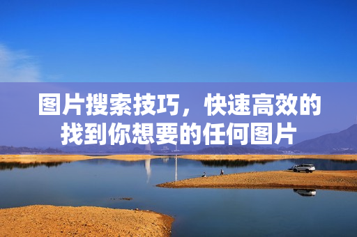 图片搜索技巧，快速高效的找到你想要的任何图片
