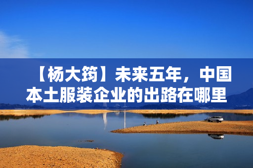 【杨大筠】未来五年，中国本土服装企业的出路在哪里