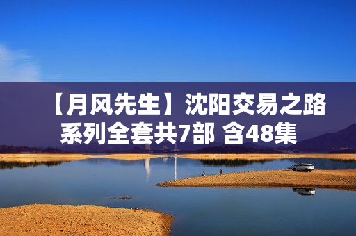 【月风先生】沈阳交易之路系列全套共7部 含48集