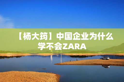 【杨大筠】中国企业为什么学不会ZARA
