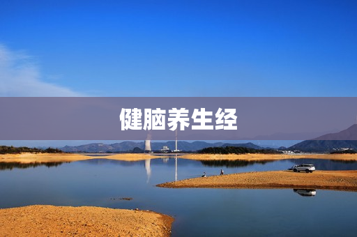 健脑养生经