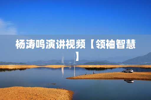 杨涛鸣演讲视频【领袖智慧】