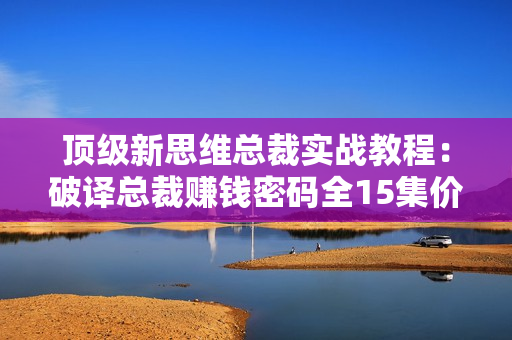顶级新思维总裁实战教程：破译总裁赚钱密码全15集价值108元