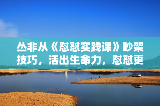 丛非从《怼怼实践课》吵架技巧，活出生命力，怼怼更快乐