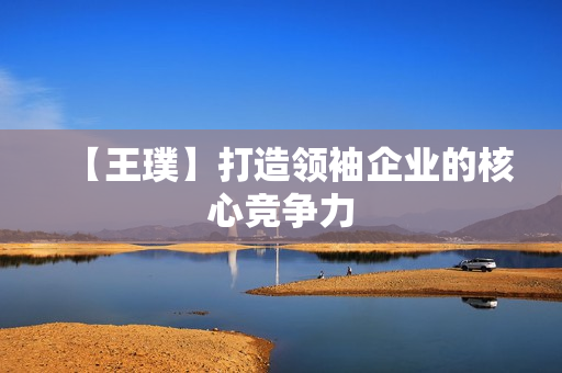 【王璞】打造领袖企业的核心竞争力