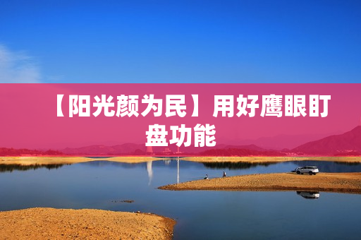 【阳光颜为民】用好鹰眼盯盘功能