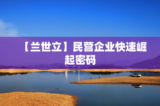 【兰世立】民营企业快速崛起密码