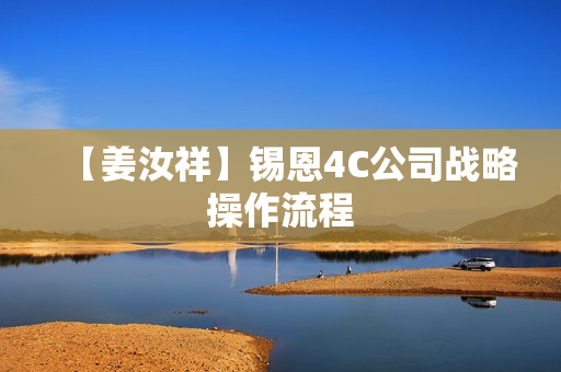 【姜汝祥】锡恩4C公司战略操作流程