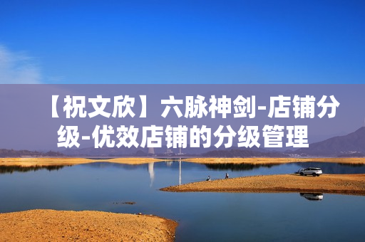 【祝文欣】六脉神剑-店铺分级-优效店铺的分级管理