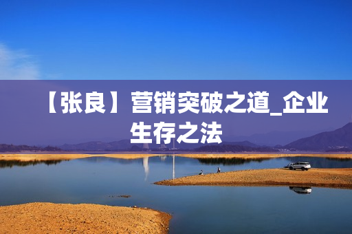 【张良】营销突破之道_企业生存之法