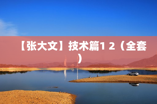 【张大文】技术篇1 2（全套）