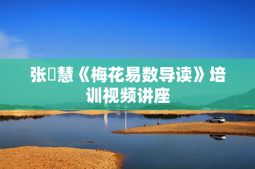 张赟慧《梅花易数导读》培训视频讲座  第1张