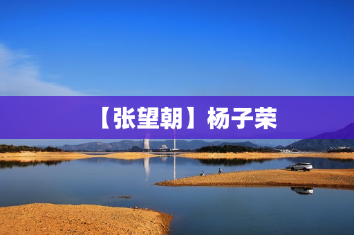 【张望朝】杨子荣