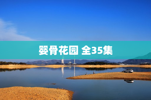 婴骨花园 全35集