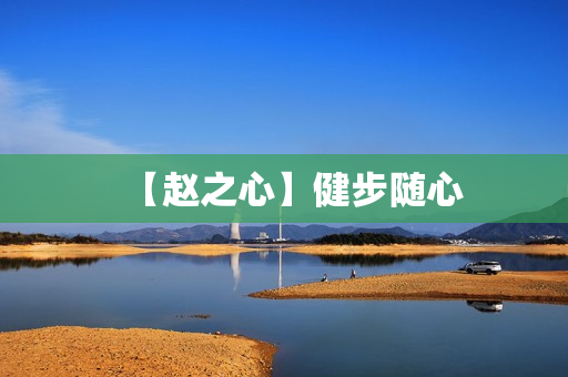 【赵之心】健步随心