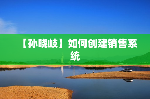 【孙晓岐】如何创建销售系统