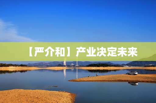 【严介和】产业决定未来