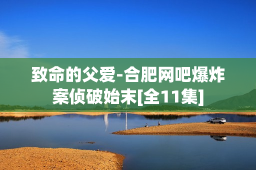 致命的父爱-合肥网吧爆炸案侦破始末[全11集]