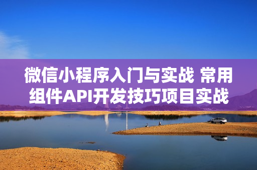 微信小程序入门与实战 常用组件API开发技巧项目实战