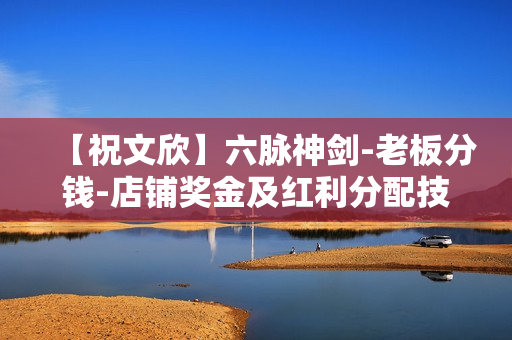 【祝文欣】六脉神剑-老板分钱-店铺奖金及红利分配技术