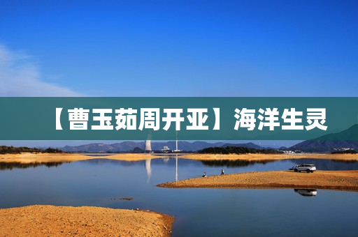 【曹玉茹周开亚】海洋生灵